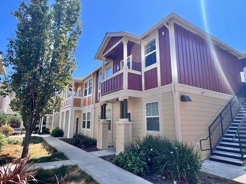 A row of townhouses with a tree in front of the first one.