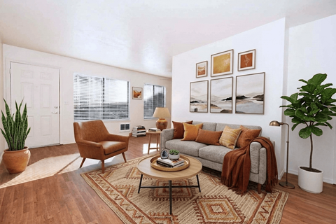 A living room with a brown rug and a brown chair.