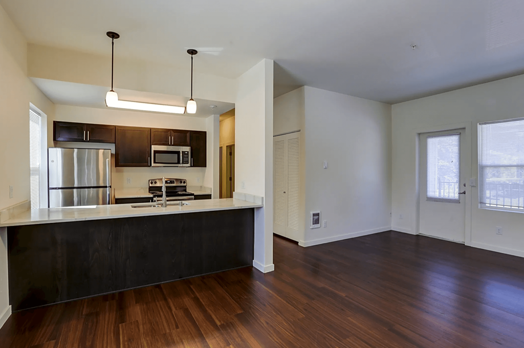 lavonne living room kitchen