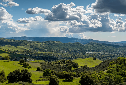Lime Ridge Open Space