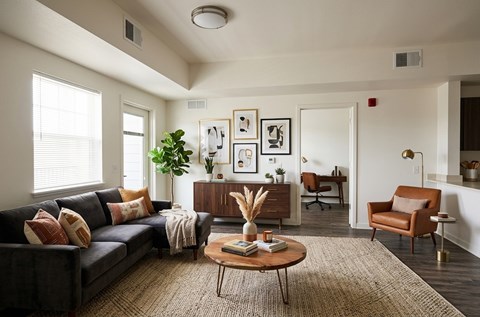 A living room with a grey couch, a brown armchair, a wooden coffee table, and a rug.