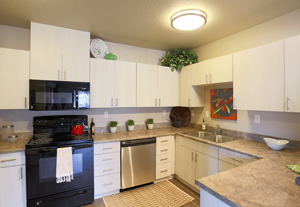 Pioneer Vista Model Kitchen