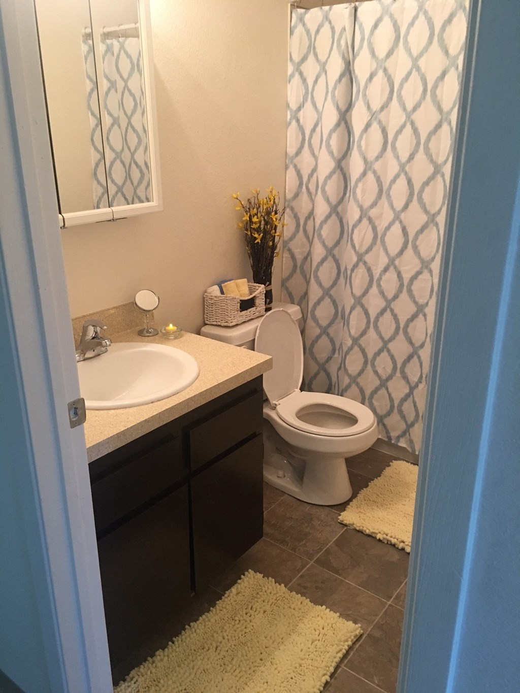 Meridian Park bathroom