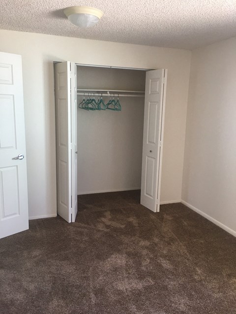 a bedroom with a closet and a carpeted floor
