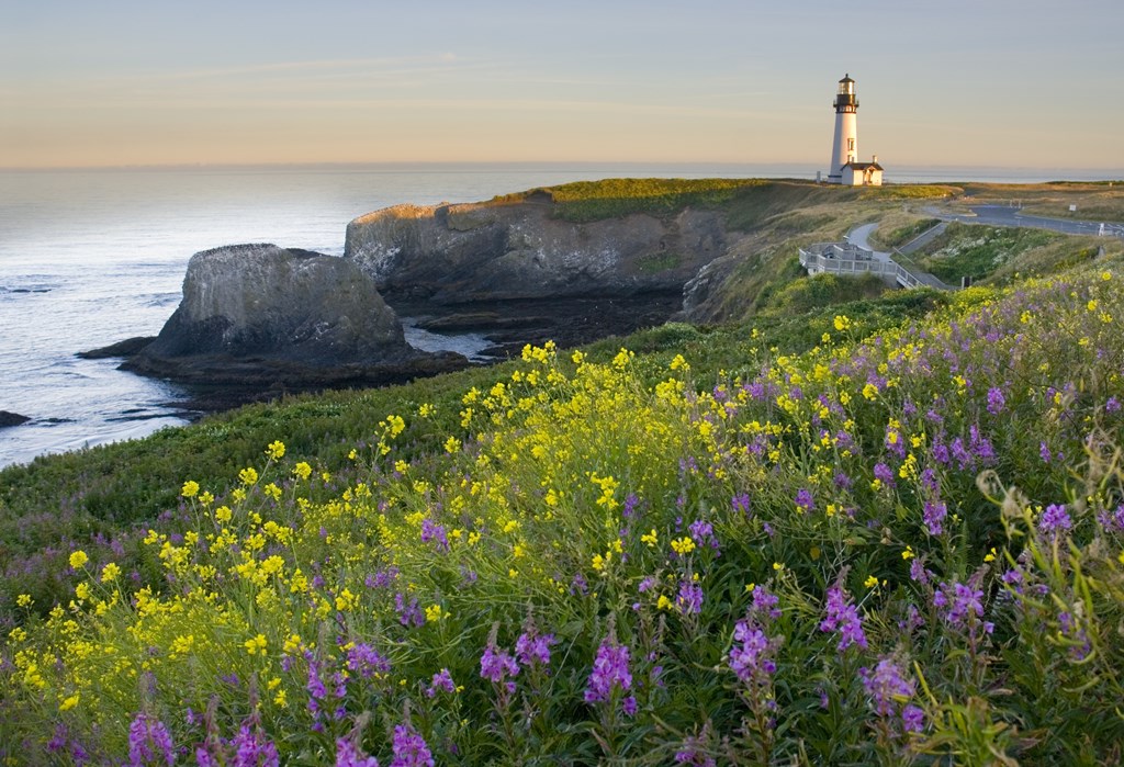 A lighthouse stands on a cliff surrounded by wildflowers.