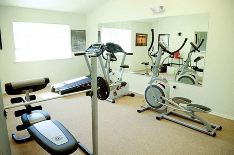 a gym with cardio equipment in a home gym
