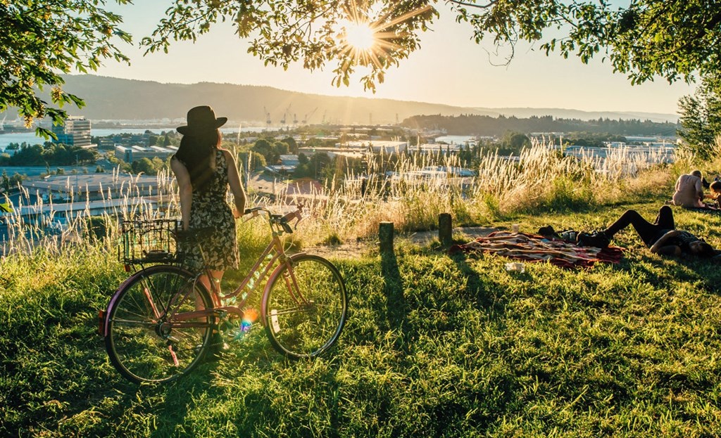 Overlook neighborhood