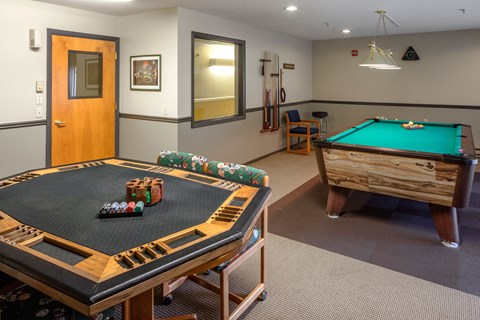 A pool table with a green cloth and a pool cue on it.
