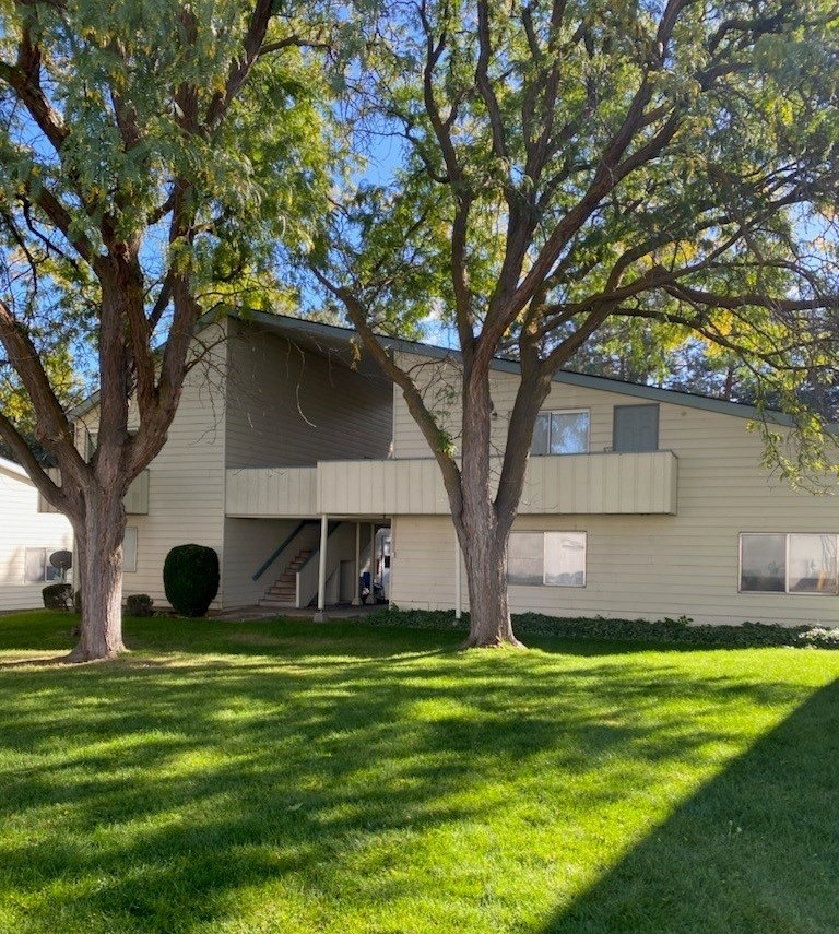 A house with a tree in front of it.