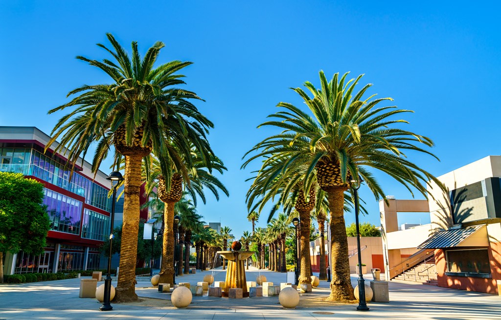 Two palm trees in the foreground with a building in the background.