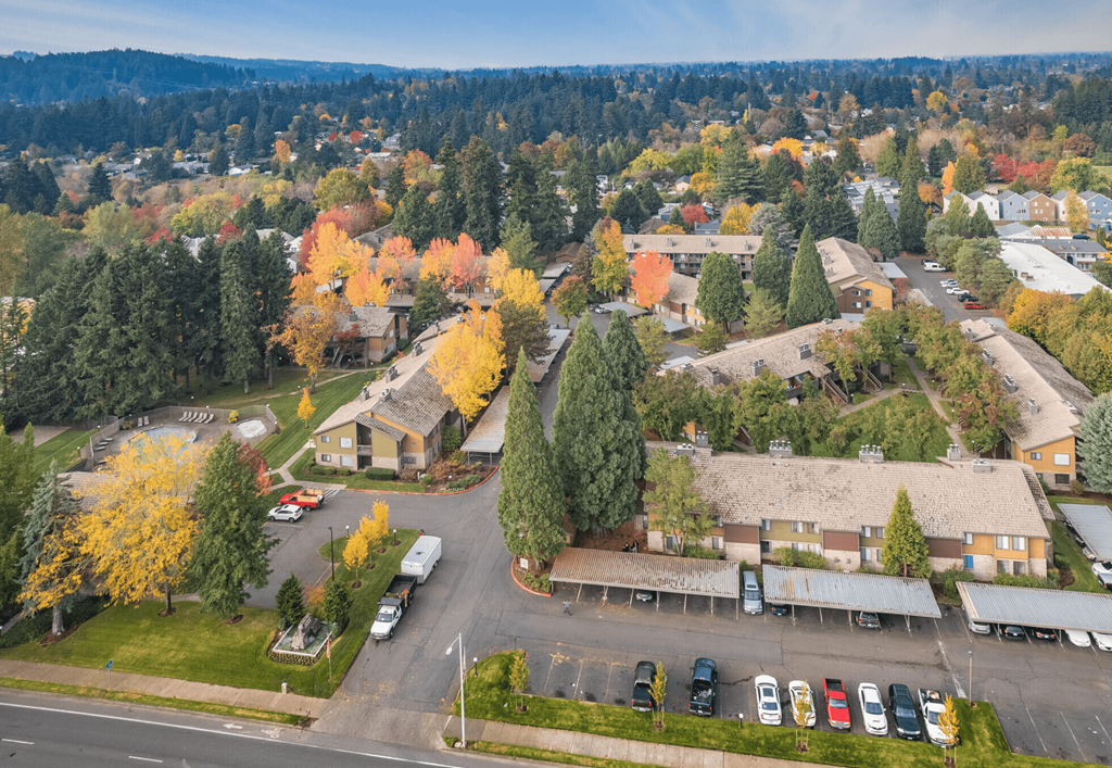 arial view of a neighborhood with colorful trees and buildings