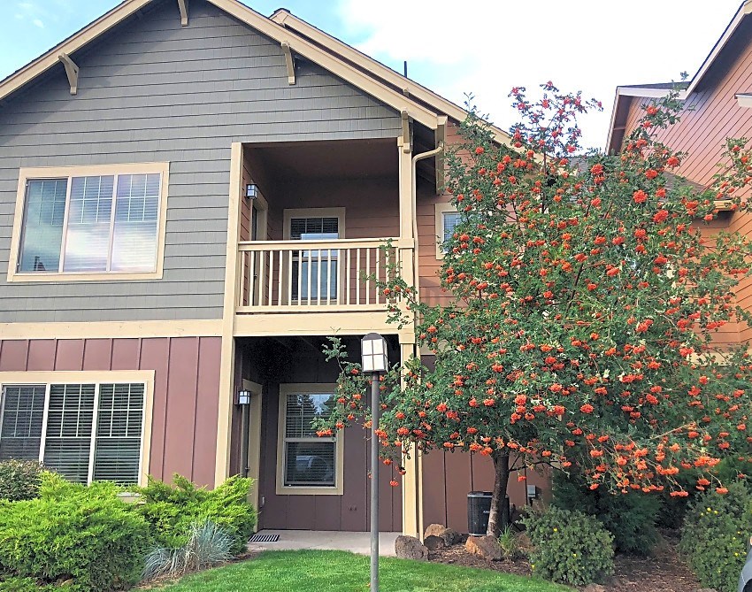 Village at Southern Crossing exterior flowering tree