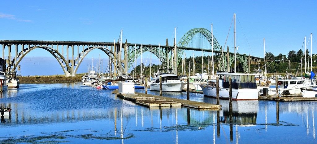 A bridge over a marina with boats docked.