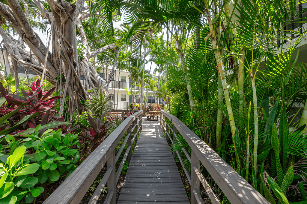 A wooden walkway leads through a lush tropical garden.