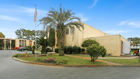 A building with a flag on top and a palm tree in front.