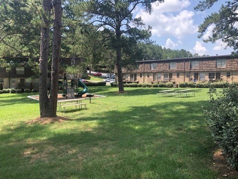 A tree stands in a grassy area in front of a building.