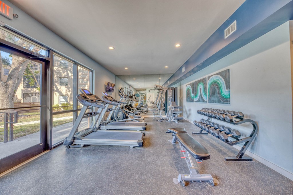 A gym with treadmills, dumbbells, and a painting on the wall.