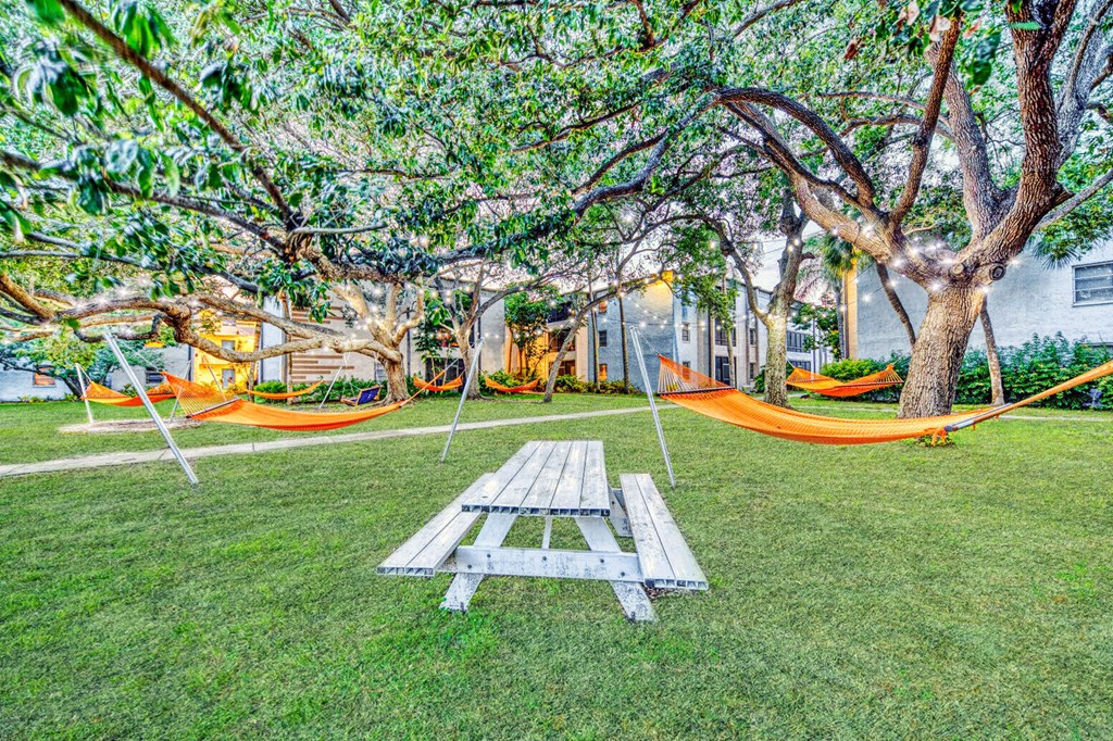 A picnic table is in the middle of a grassy area with trees and hammocks.