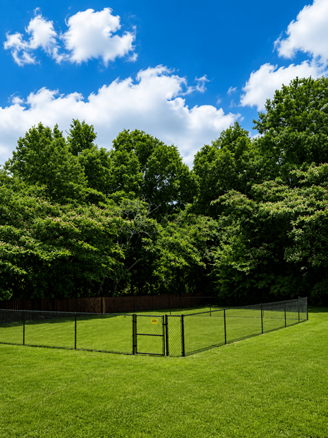 A tennis court surrounded by trees and a fence.