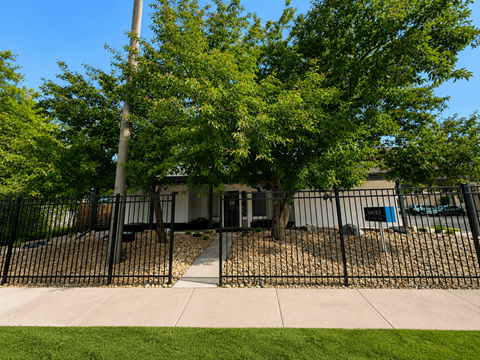 A black metal fence surrounds a building with a tree in front.