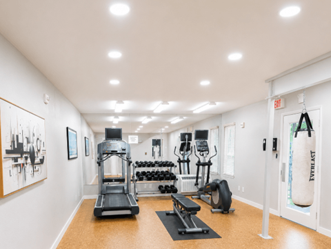 A gym with a variety of equipment including a treadmill, weights, and a punching bag.