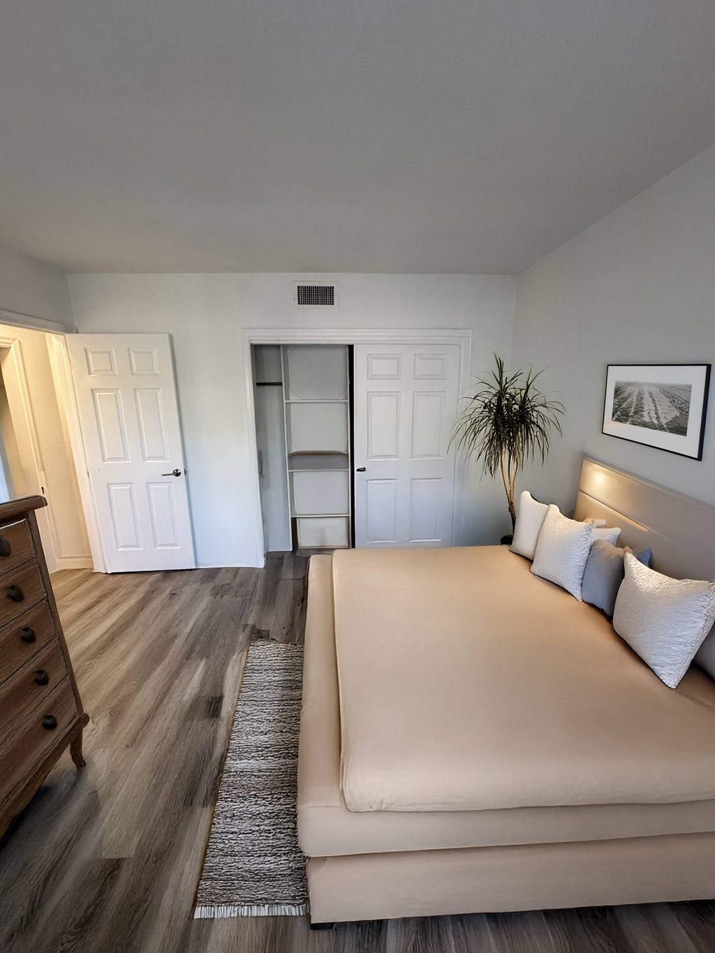 A bedroom with a bed, dresser, and a plant.