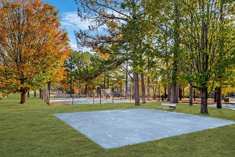 A park with a blue ice rink surrounded by trees.