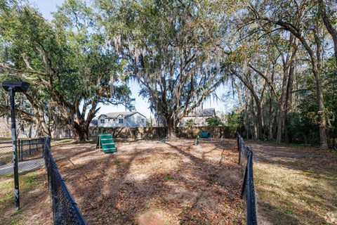 A backyard with a fence and a tree with hanging moss.