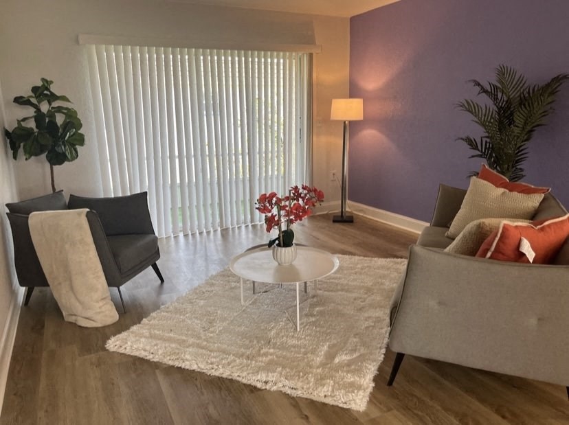 a living room with purple walls and a white rug