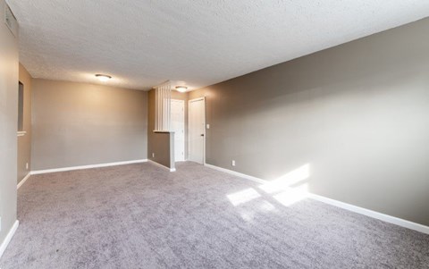 A room with carpeted floor and a door in the background.
