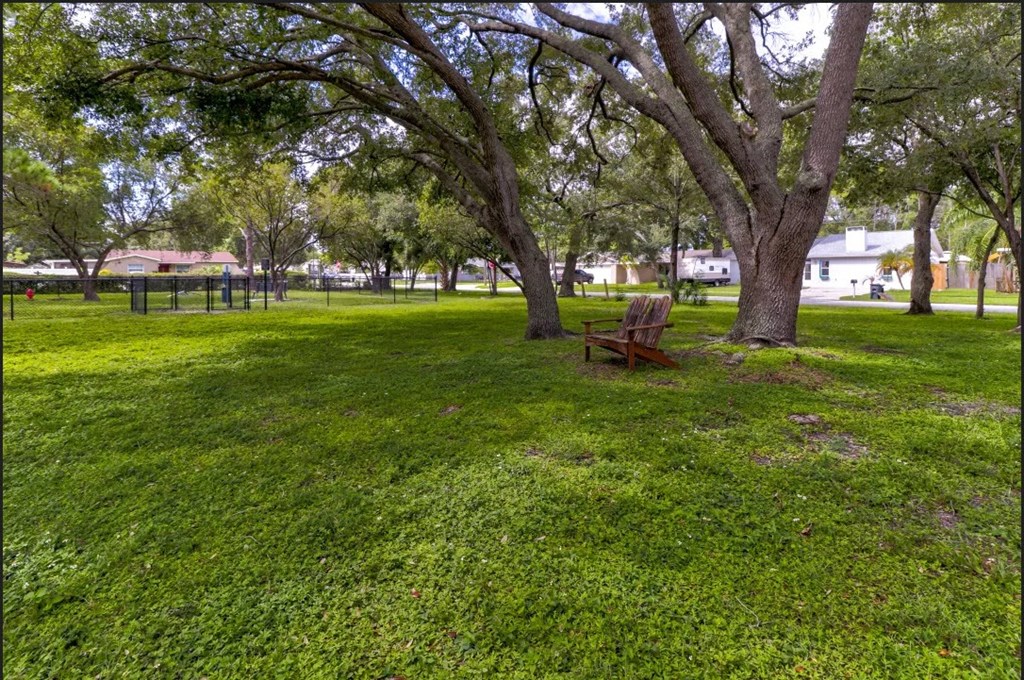 a park bench in the middle of a grassy field