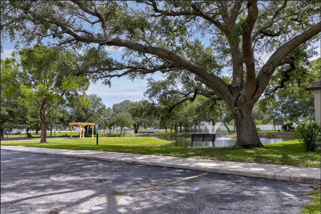 a park with a large tree and a playground in the background
