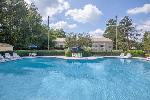 160 Belle Drive 1-2 Beds Apartment for Rent