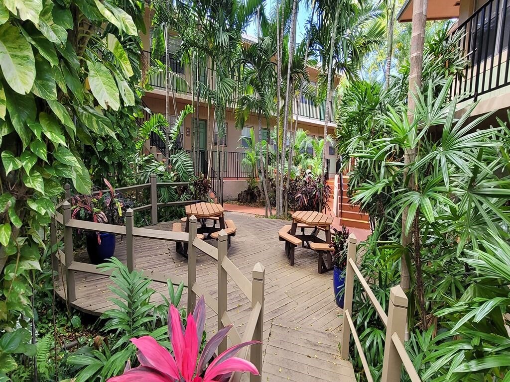 a patio with benches and plants in a tropical garden