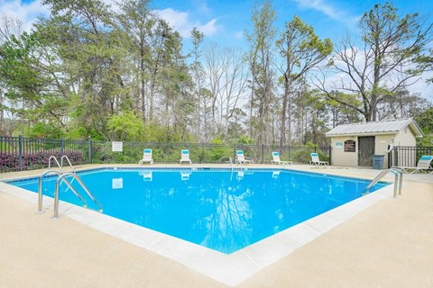 A large blue swimming pool surrounded by trees and a small building.