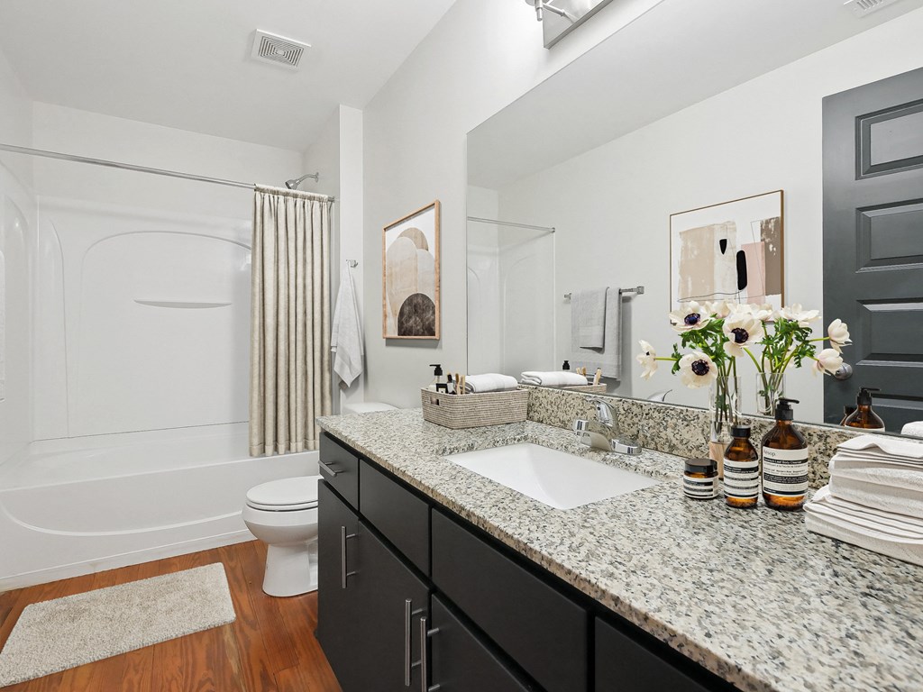 a bathroom with a sink and a toilet and a shower
