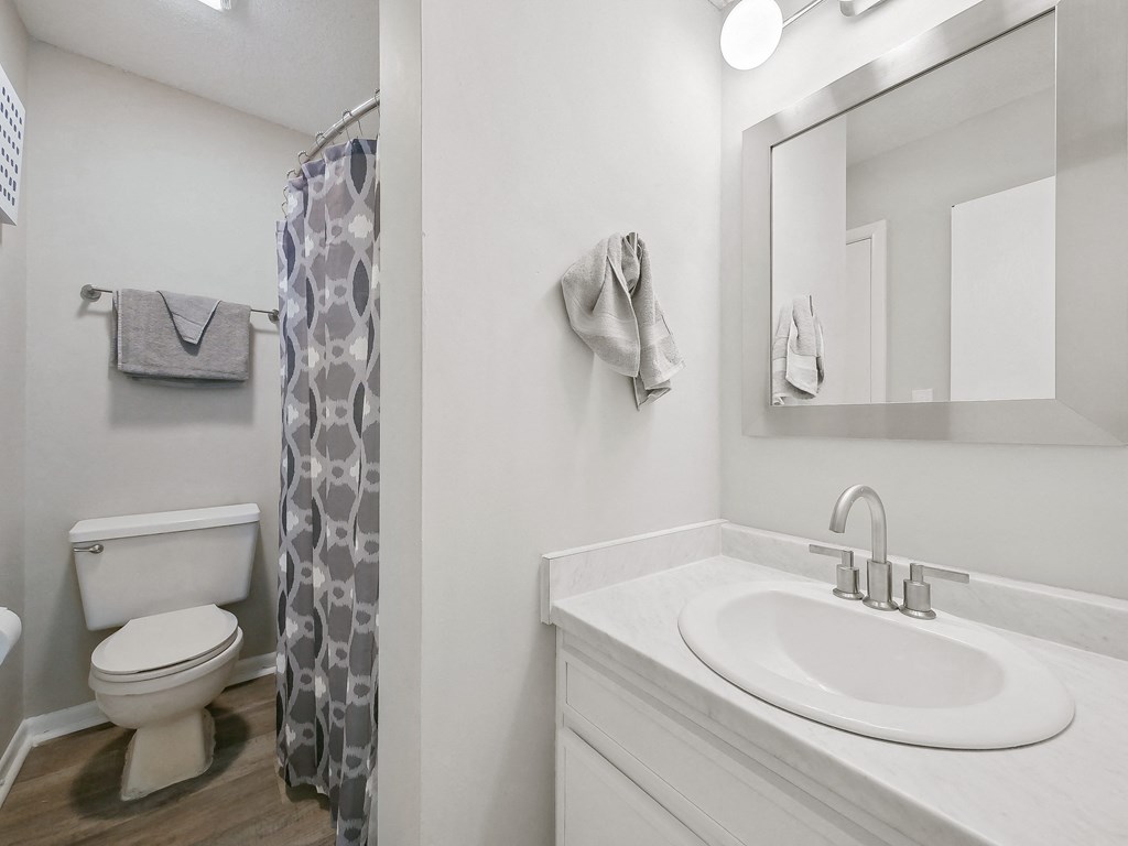a bathroom with a sink and a toilet and a shower