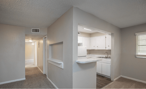 A white kitchen with a sink and cabinets.