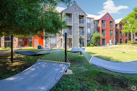 A hammock is strung between two trees in a grassy area.