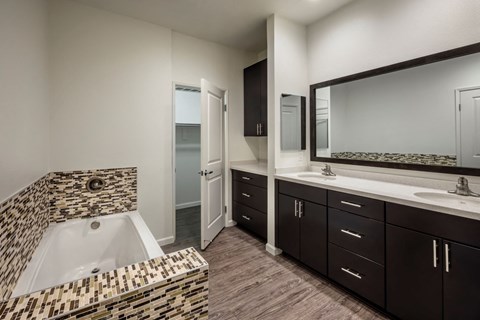 Apartments in Hollywood, CA -  Apartment Bathroom Double Vanity, Bathtub and Closet summit