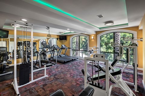 Apartments in Hollywood, CA - Fitness Center with Equipment