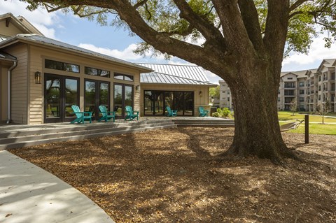 a patio with chairs and a tree in front of a building