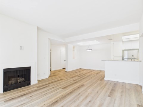 Apartments in Valley Village, CA - Living Room with Fireplace
