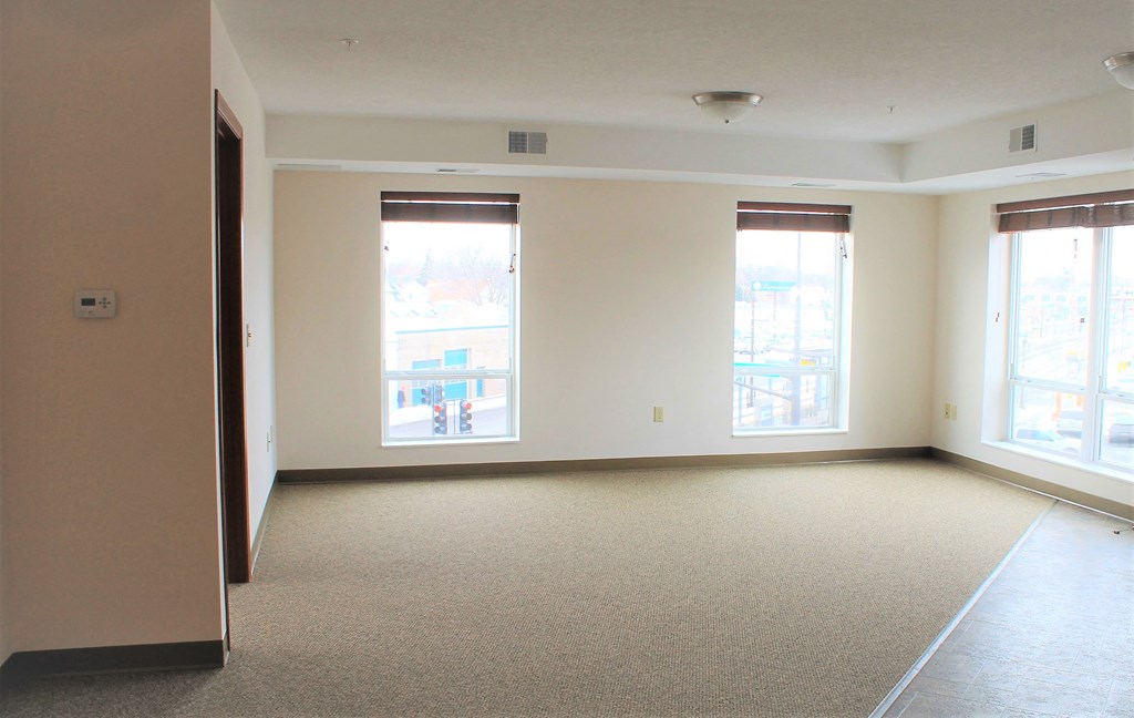 A large, empty room with carpeted floors and two windows.