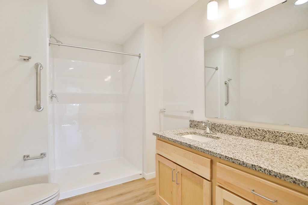 A bathroom with a walk-in shower, toilet, and a granite countertop.
