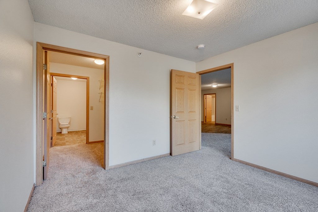 A bedroom with a carpeted floor and a walk-through closet to the bathroom.
