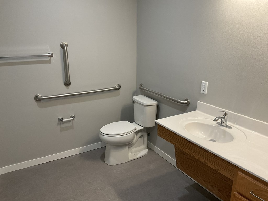 a bathroom with grab bars and a toilet and sink