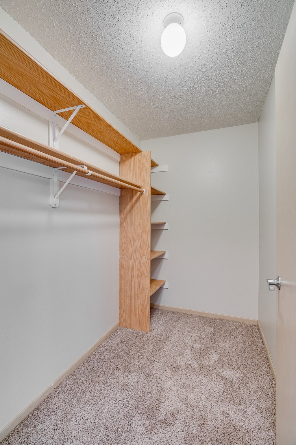 a walk in closet with a wooden door and a white wall and carpeted floor