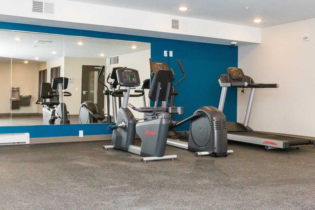 A gym with treadmills and elliptical machines.