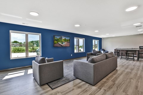 A living room with two grey couches and a wooden floor.